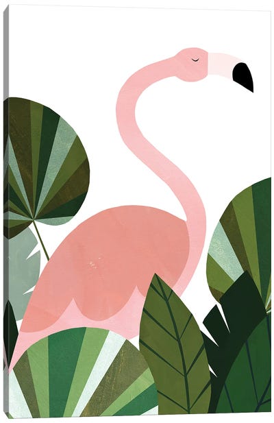 Florence The Flamingo Canvas Art Print - Flamingo Art