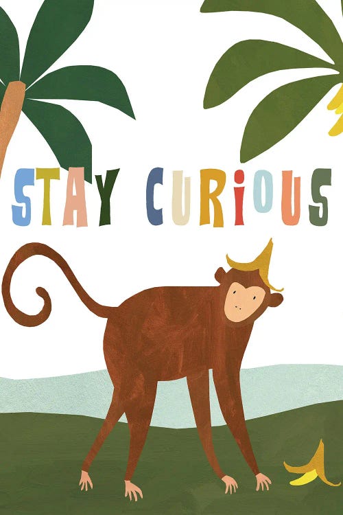 Stay Curious