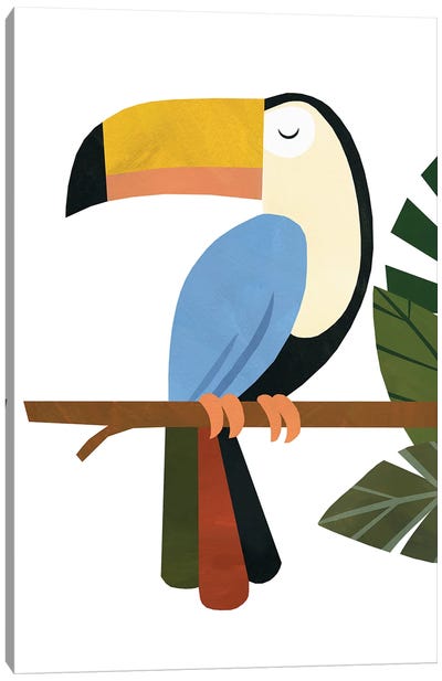 Tucker The Toucan Canvas Art Print - Toucan Art