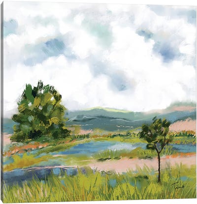 Scenic Hills Canvas Art Print