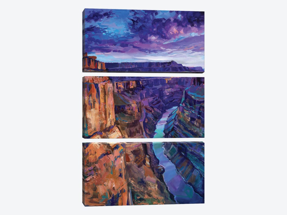Grand Canyon No. 3 by Robert Jackson 3-piece Canvas Art Print