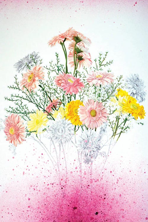 Gerbera Daisies