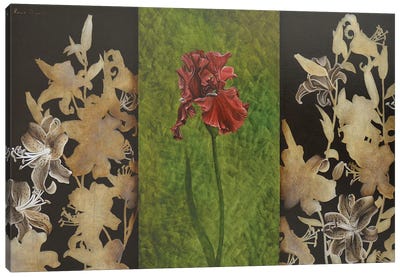 Iris And Lilium Canvas Art Print - Iris Art