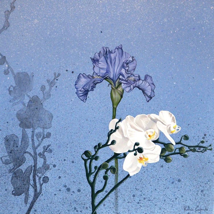 Iris And Orchids