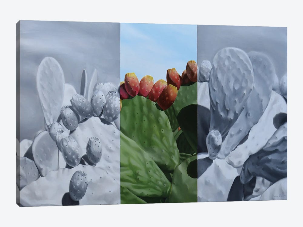 Prickly Pears by Ilaria Caputo 1-piece Canvas Print