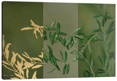 The Olive Trees Canvas Art Print - Natural Elements