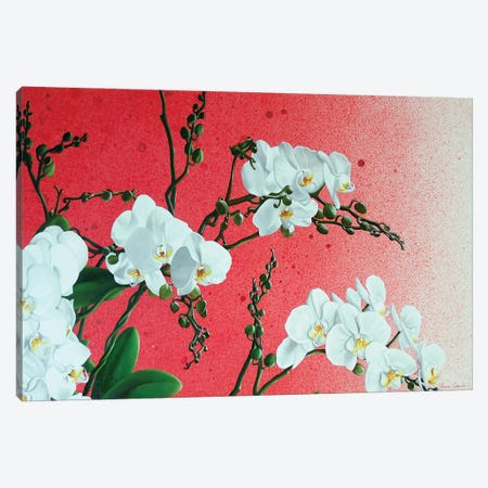 White Orchids Canvas Print #ICT46} by Ilaria Caputo Canvas Art Print
