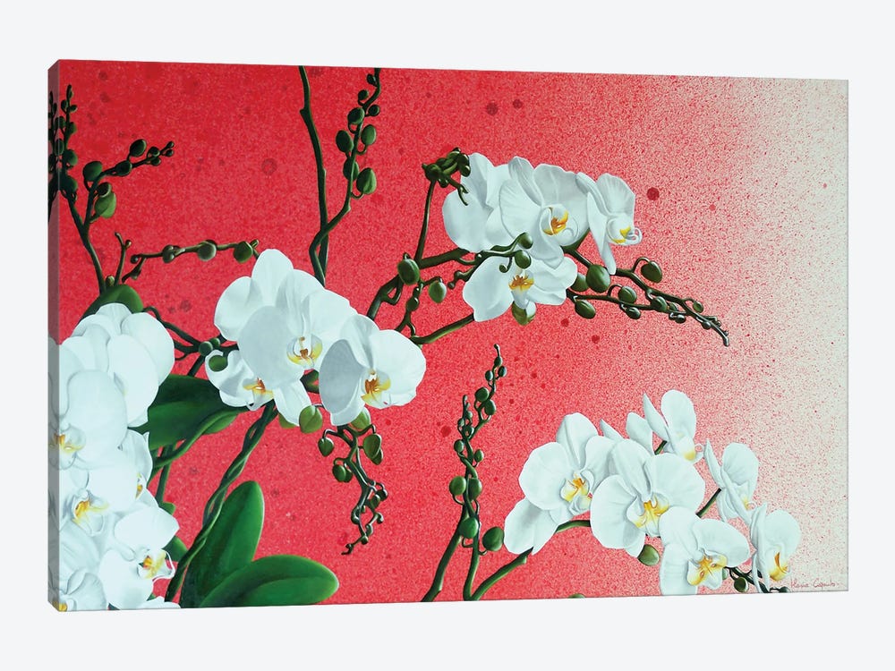 White Orchids by Ilaria Caputo 1-piece Canvas Art Print