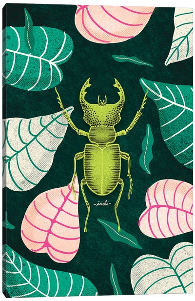 Bug I Canvas Art Print - Indi Maverick
