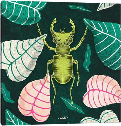 Bug Square I Canvas Art Print - Beetle Art