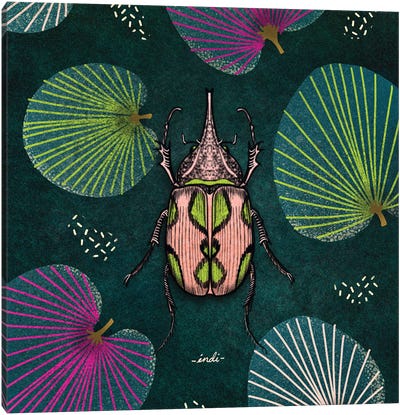 Bug Square II Canvas Art Print - Beetle Art