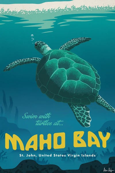 Turtles: Maho Bay by IdeaStorm Studios