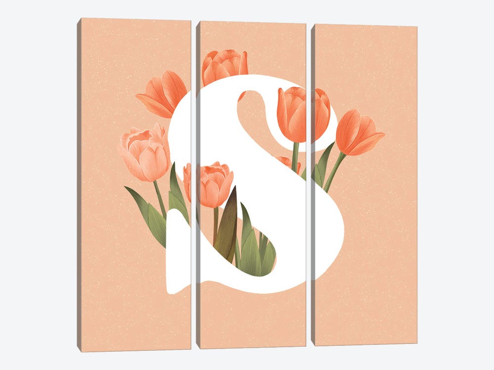 S by ItsFunnyHowww 3-piece Canvas Wall Art