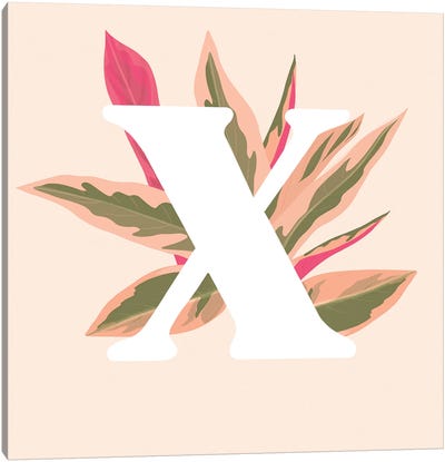 X Canvas Art Print - Letter X