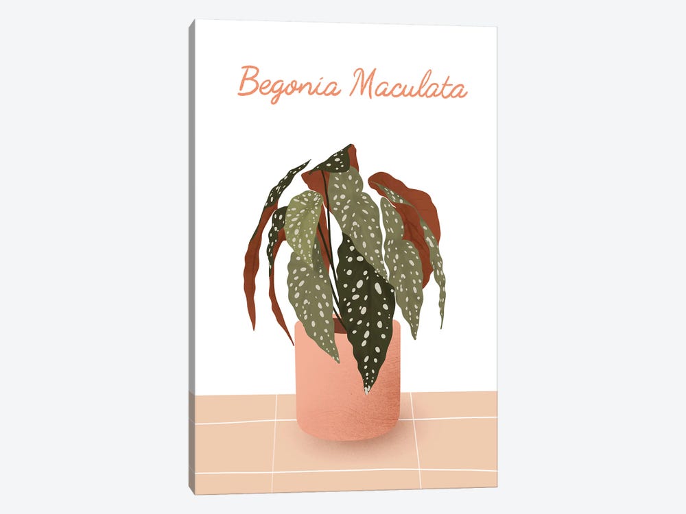 Begonia Maculata by ItsFunnyHowww 1-piece Art Print