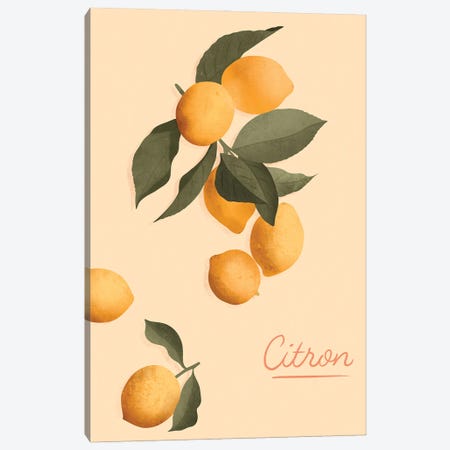 Citron Canvas Print #IFH39} by ItsFunnyHowww Canvas Print