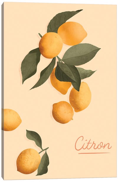 Citron Canvas Art Print - ItsFunnyHowww