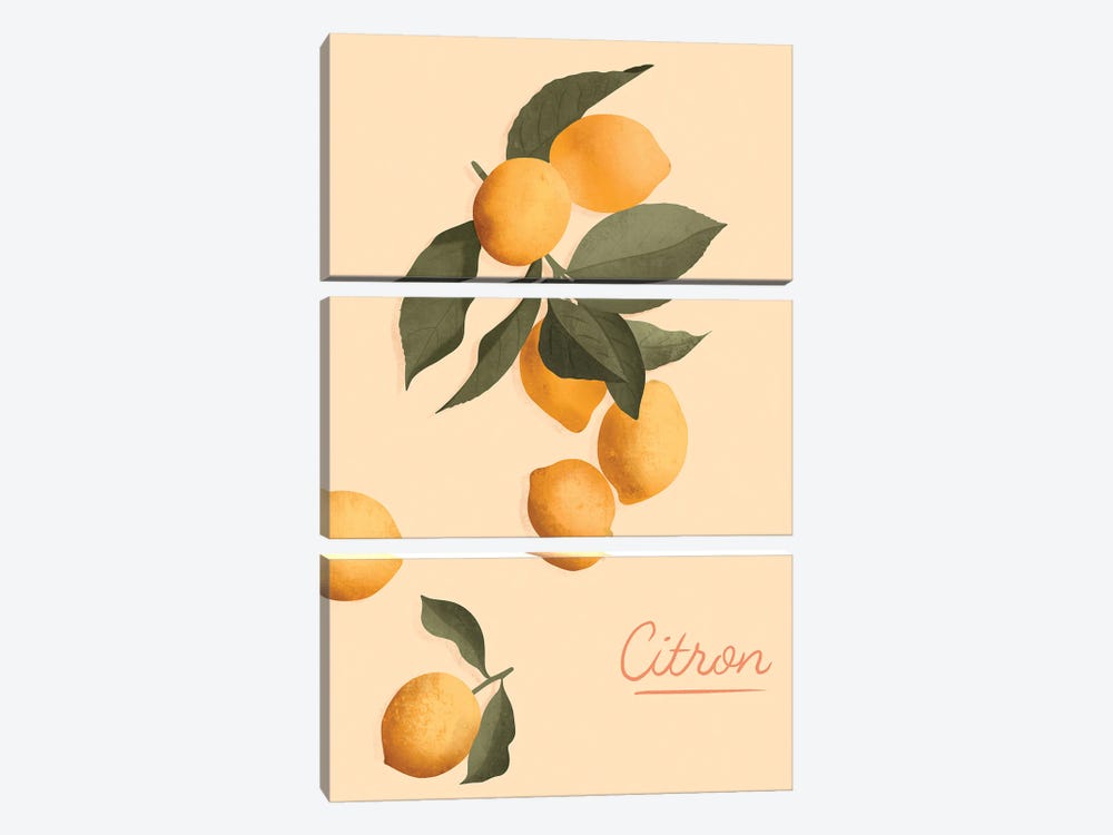 Citron by ItsFunnyHowww 3-piece Canvas Art