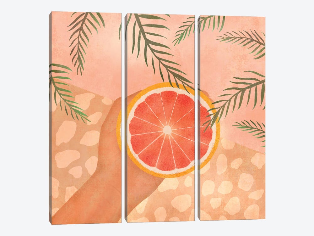 Grapefruit by ItsFunnyHowww 3-piece Canvas Artwork