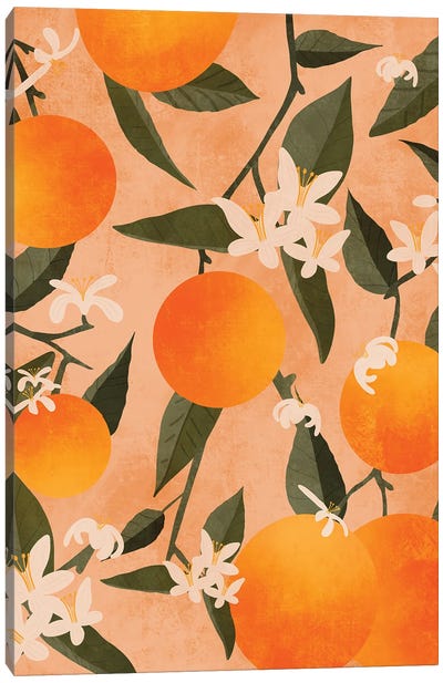 Citrus Canvas Art Print - Orange Art