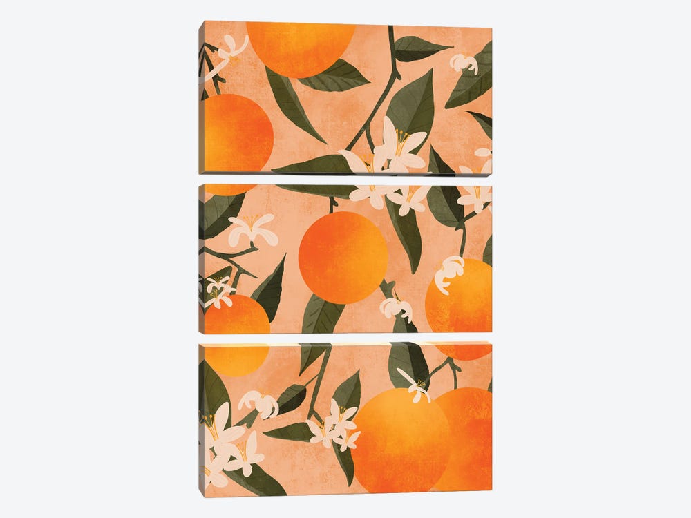 Citrus by ItsFunnyHowww 3-piece Canvas Artwork