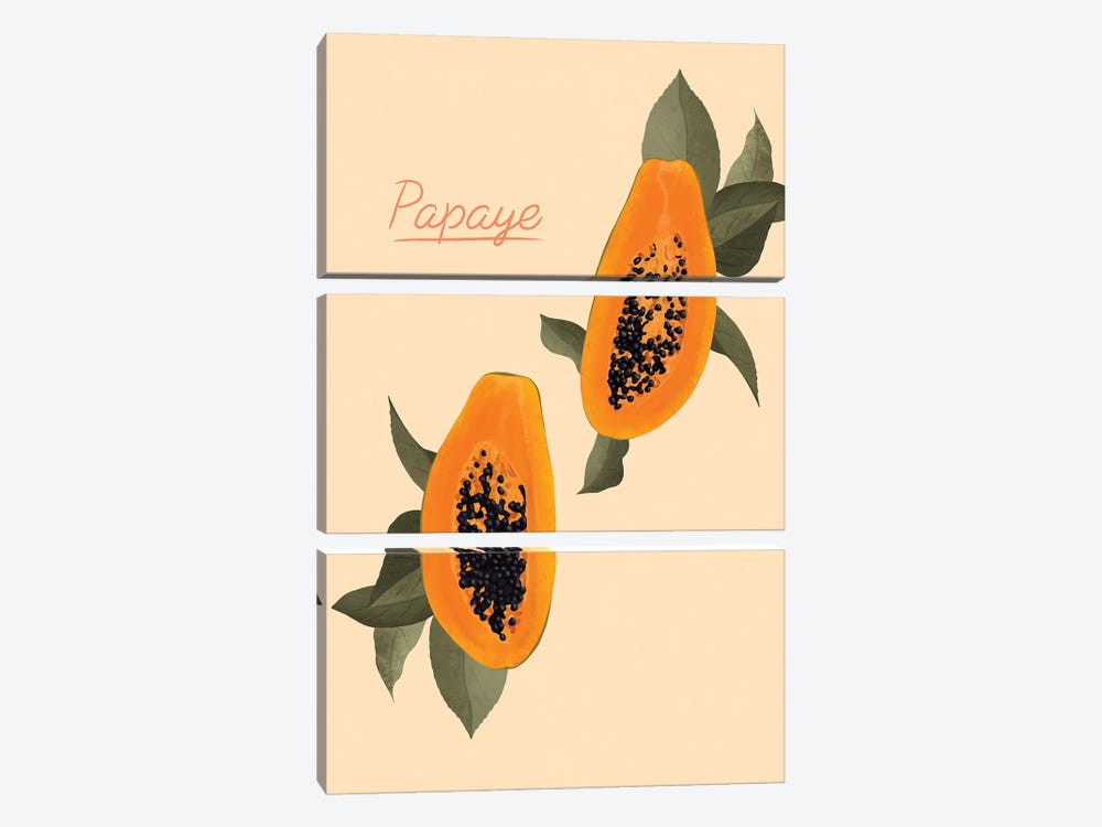 Papaya by ItsFunnyHowww 3-piece Canvas Wall Art