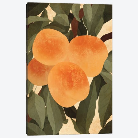 Peaches Canvas Print #IFH62} by ItsFunnyHowww Canvas Art