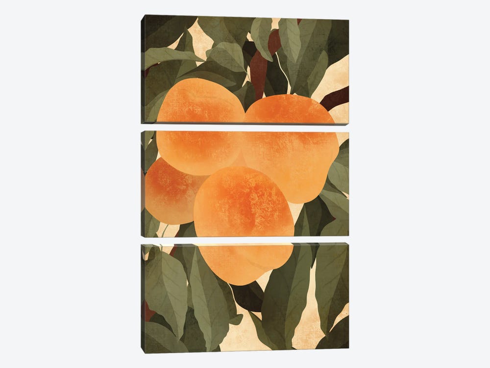 Peaches by ItsFunnyHowww 3-piece Canvas Artwork