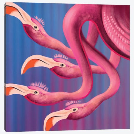 Flamingo Canvas Print #IGC55} by Irina Greciuhina Canvas Artwork