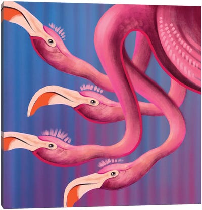 Flamingo Canvas Art Print - Irina Greciuhina