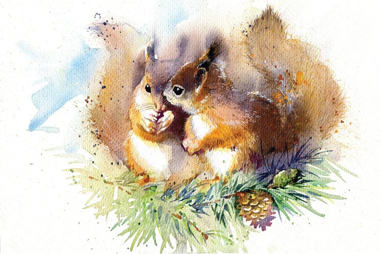 Squirrels by Marina Ignatova wall art