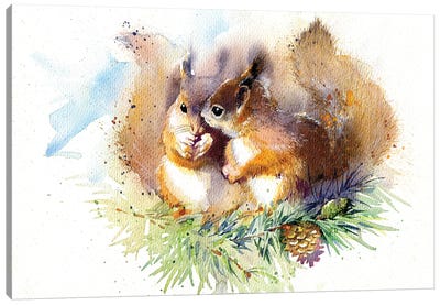 Squirrels Canvas Art Print - Squirrel Art