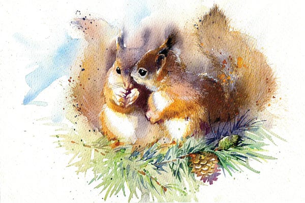 Rodents: Squirrels by Marina Ignatova