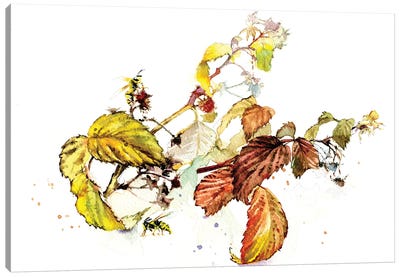 Raspberry Sprigs Canvas Art Print - Berry Art