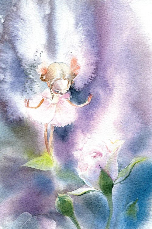 Fairy Rose by Marina Ignatova wall art
