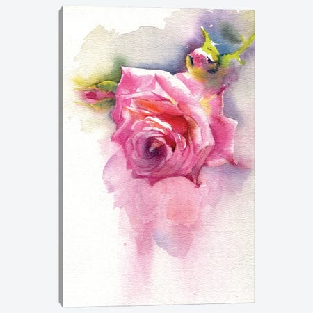 Rose Canvas Print #IGN114} by Marina Ignatova Canvas Art Print