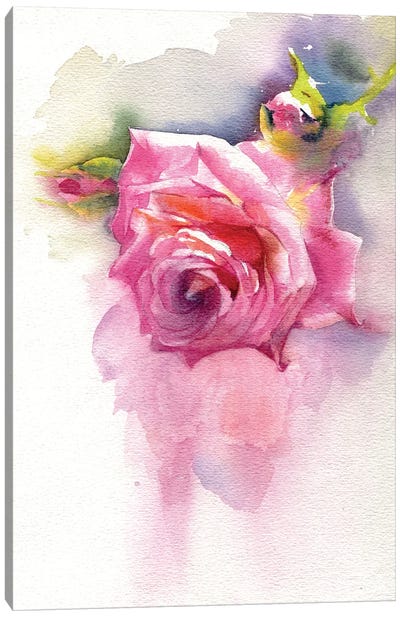 Rose Canvas Art Print - Marina Ignatova