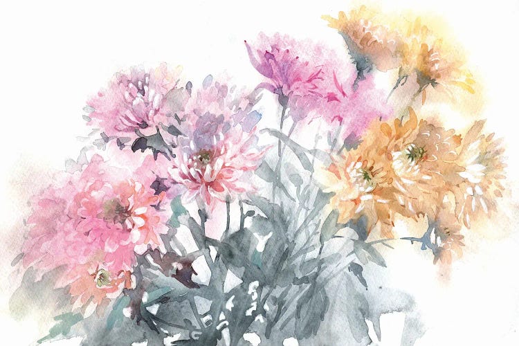 Chrysanthemums by Marina Ignatova wall art