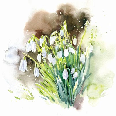Snowdrops I by Marina Ignatova framed wall art