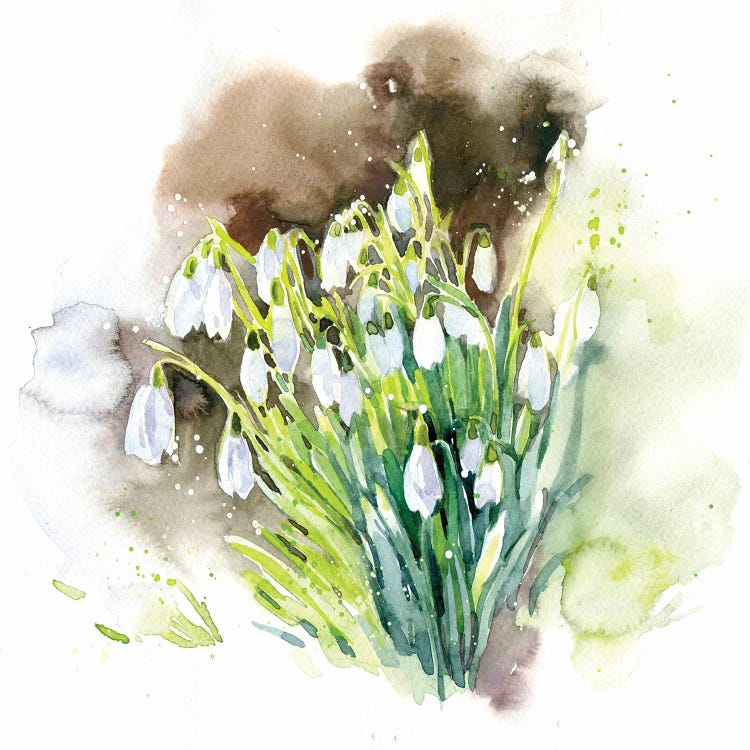Snowdrops I by Marina Ignatova wall art