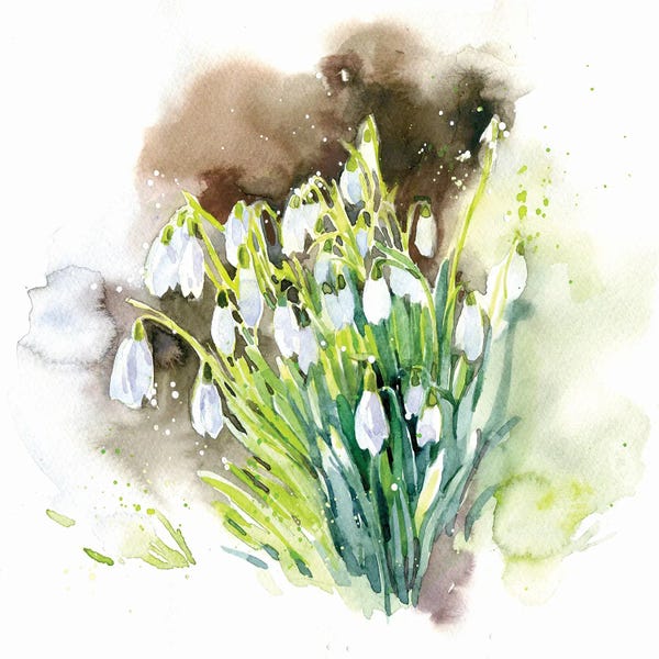Marina Ignatova: Snowdrops I by Marina Ignatova