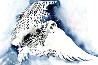 Polar Owl by Marina Ignatova canvas print