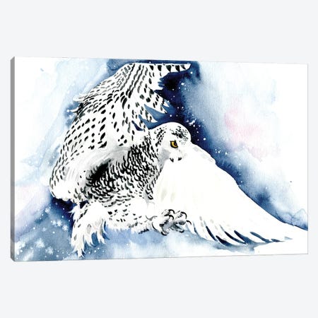 Polar Owl Canvas Print #IGN127} by Marina Ignatova Canvas Wall Art