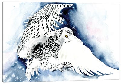 Polar Owl Canvas Art Print - Marina Ignatova
