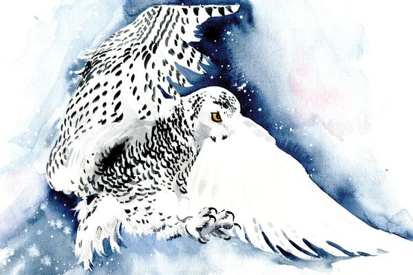 Marina Ignatova: Polar Owl by Marina Ignatova