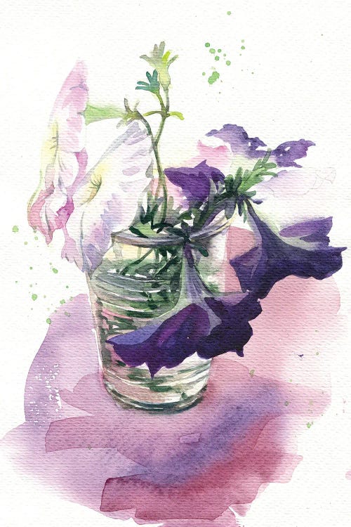 Petunia