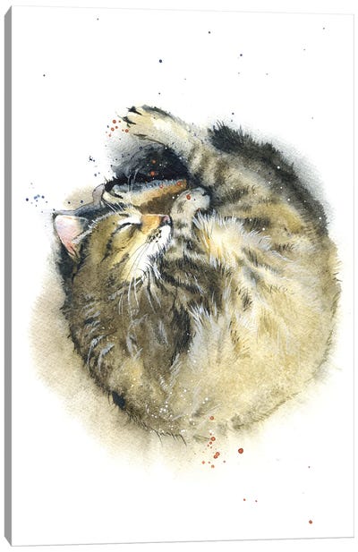 Cat's Dream Canvas Art Print - Marina Ignatova