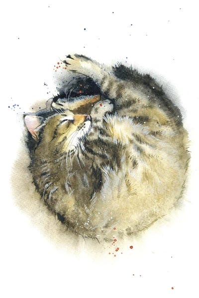 Tabbies: Cat's Dream by Marina Ignatova