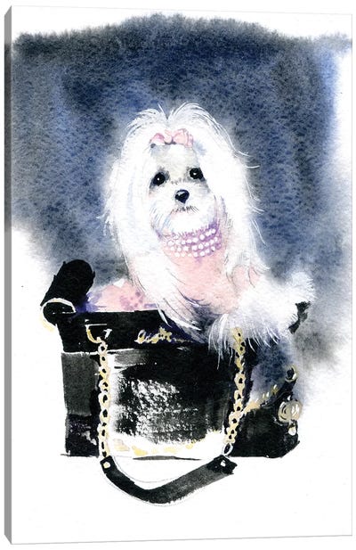 Dog II Canvas Art Print