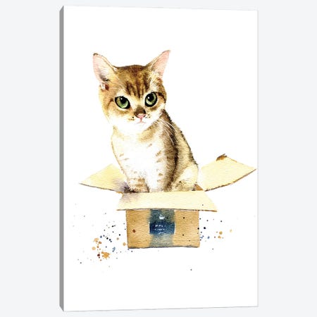 Cat In A Box I Canvas Print #IGN142} by Marina Ignatova Canvas Art Print